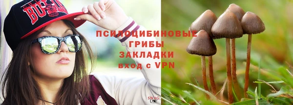 ешки Алексеевка