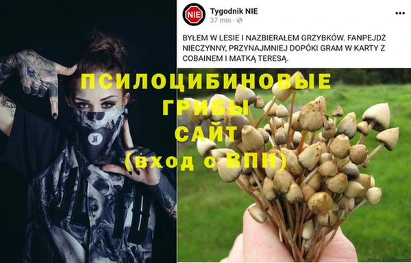 ешки Алексеевка