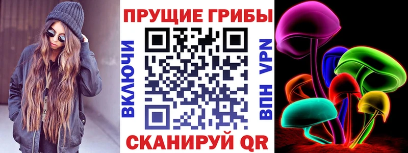 Псилоцибиновые грибы мицелий  наркошоп  Приволжский 