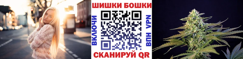 Бошки марихуана THC 21%  закладки  Приволжский 